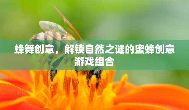 蜂舞創(chuàng)意，解鎖自然之謎的蜜蜂游戲組合