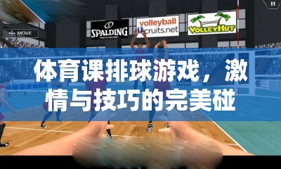 激情與技巧的碰撞，體育課上的排球游戲