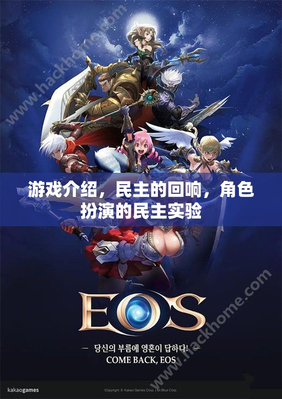 民主的回響，角色扮演中的民主實驗