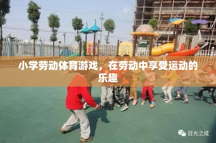 勞動(dòng)與運(yùn)動(dòng)的完美結(jié)合，小學(xué)勞動(dòng)體育游戲