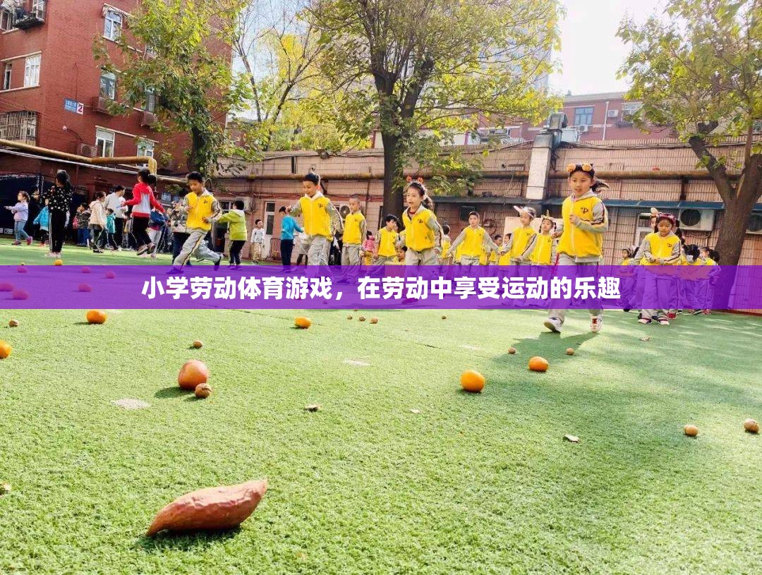 勞動(dòng)與運(yùn)動(dòng)的完美結(jié)合，小學(xué)勞動(dòng)體育游戲