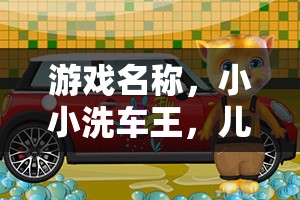小小洗車王，兒童洗車樂園的歡樂冒險