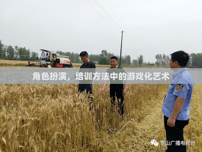 角色扮演，培訓(xùn)方法中的游戲化藝術(shù)