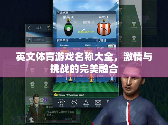 激情與挑戰(zhàn)，英文體育游戲大全