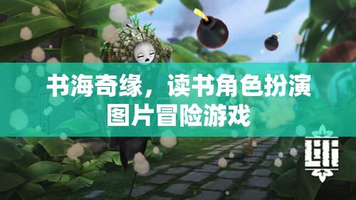 書海奇緣，角色扮演與圖片冒險的閱讀之旅