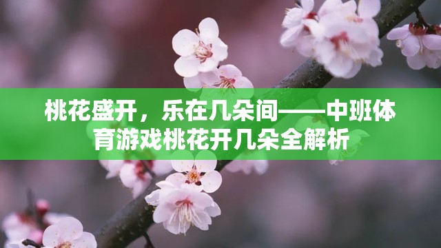 中班體育游戲桃花開(kāi)幾朵，在桃花盛開(kāi)中體驗(yàn)樂(lè)趣的全面解析