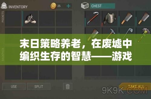 末日策略養(yǎng)老，在廢墟中編織生存的智慧