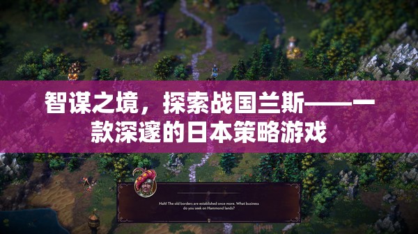 智謀之境，探索戰(zhàn)國蘭斯的日本策略游戲魅力