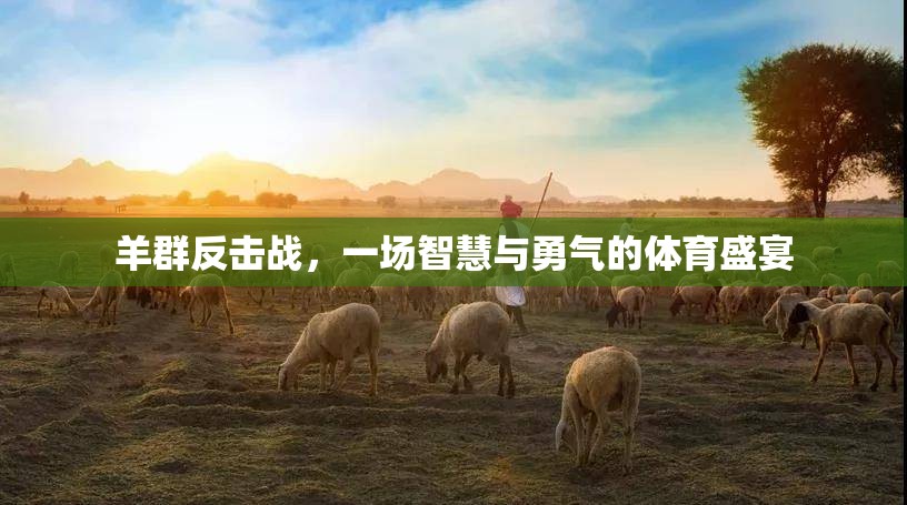 羊群反擊戰(zhàn)，智慧與勇氣的體育盛宴
