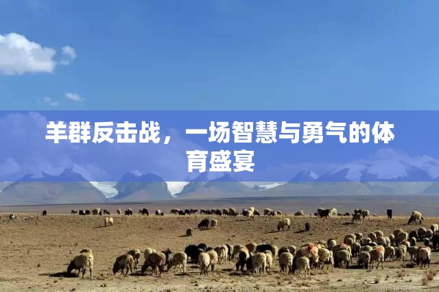 羊群反擊戰(zhàn)，智慧與勇氣的體育盛宴