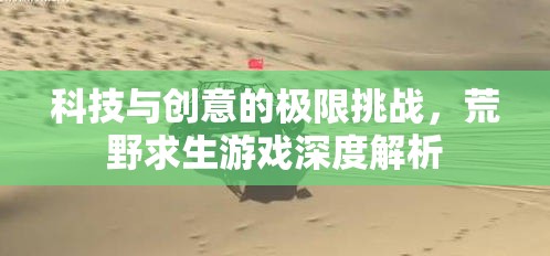 科技與創(chuàng)意的極限挑戰(zhàn)，荒野求生游戲的深度解析