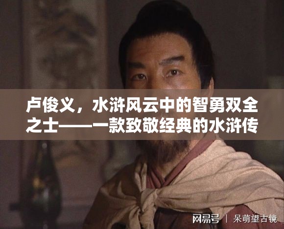 水滸風云，智勇雙全的盧俊義——致敬經(jīng)典策略游戲