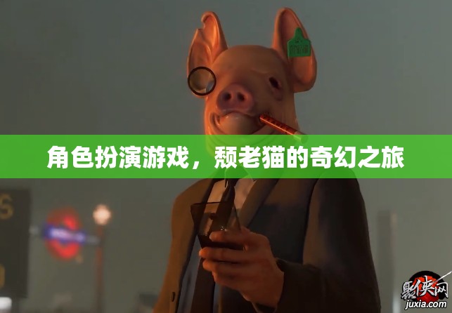 頹老貓的奇幻之旅，角色扮演的奇幻冒險