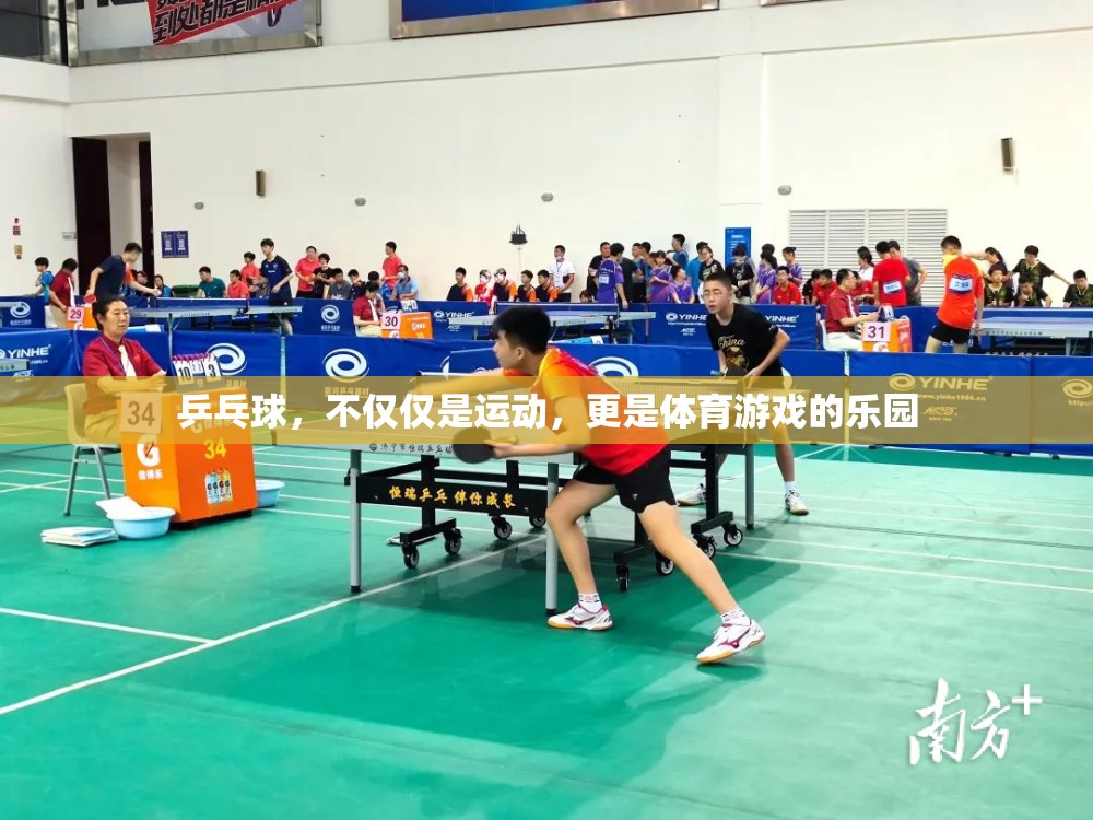 乒乓球，運(yùn)動(dòng)與游戲并存的體育樂園
