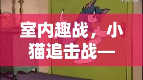 室內(nèi)趣戰(zhàn)，小貓追擊戰(zhàn)——別具一格的室內(nèi)體育游戲