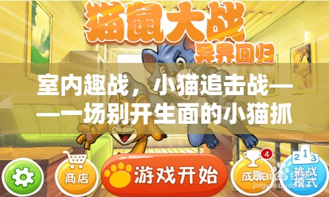 室內(nèi)趣戰(zhàn)，小貓追擊戰(zhàn)——別具一格的室內(nèi)體育游戲  第2張