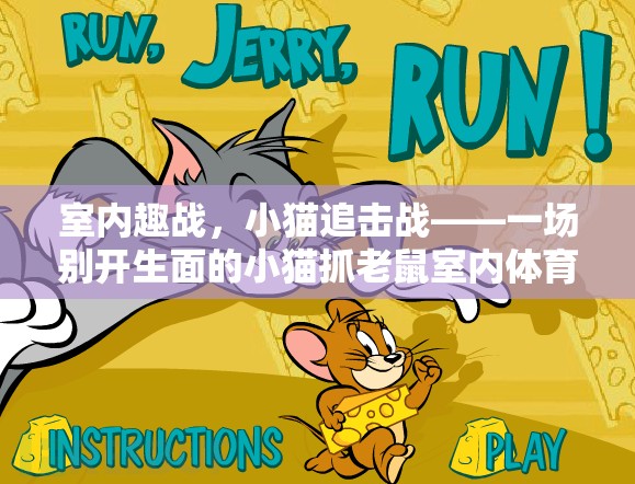 室內(nèi)趣戰(zhàn)，小貓追擊戰(zhàn)——別具一格的室內(nèi)體育游戲  第3張