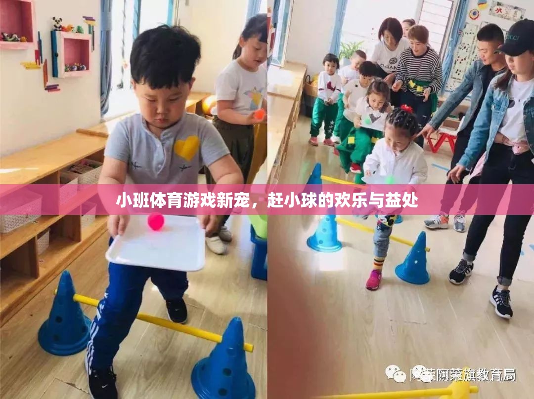 趕小球，小班體育游戲的新寵與歡樂(lè)益處