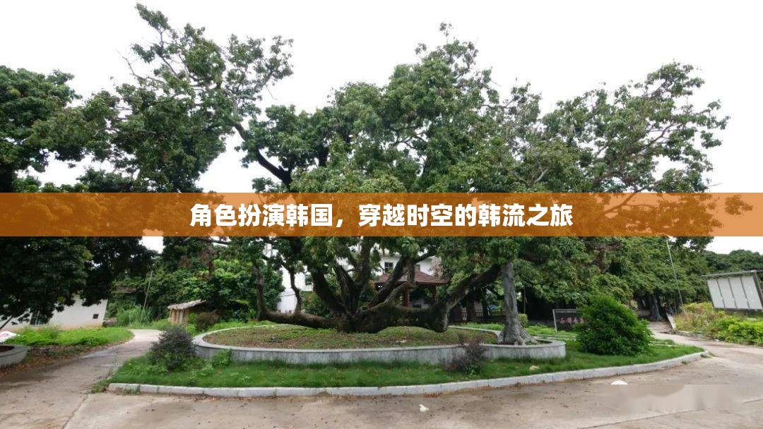 穿越時空的韓流之旅，體驗(yàn)韓國文化的魅力與魅力  第2張
