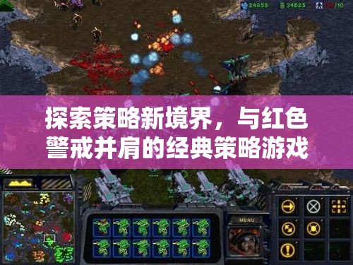 紅色警戒，探索策略新境界