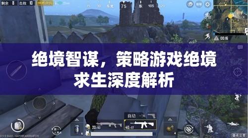 絕境智謀，策略游戲絕境求生的深度解析