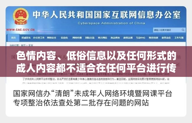 游戲介紹中的道德與法律邊界，拒絕色情與低俗內(nèi)容