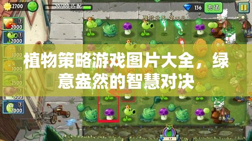 綠意盎然的智慧對(duì)決，植物策略游戲圖片精選  第1張