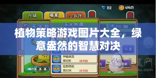 綠意盎然的智慧對(duì)決，植物策略游戲圖片精選  第3張