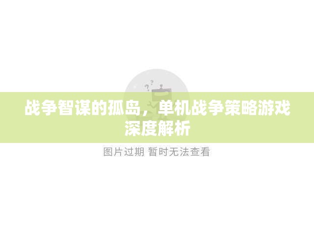 戰(zhàn)爭智謀的孤島，深度解析單機戰(zhàn)爭策略游戲
