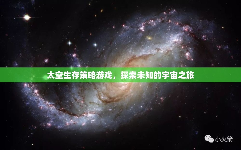 探索未知宇宙，太空生存策略游戲的冒險(xiǎn)之旅  第3張