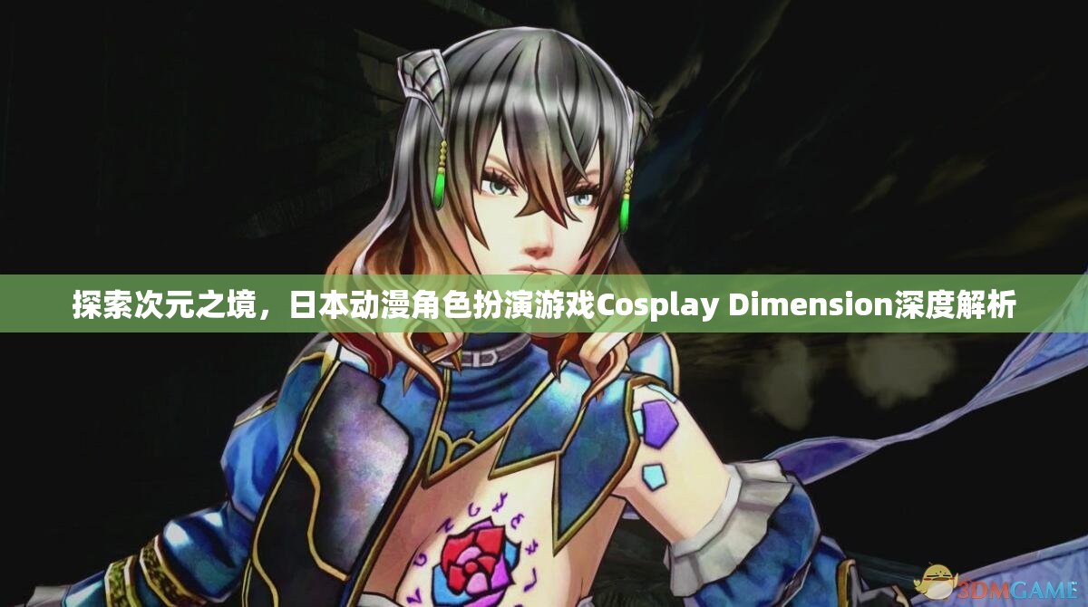 探索次元之境，日本動(dòng)漫角色扮演游戲Cosplay Dimension的深度解析  第3張