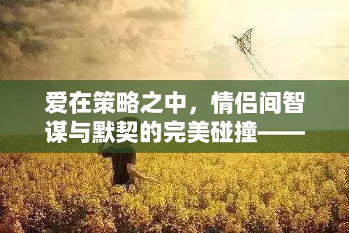 情謀天下，情侶間智謀與默契的完美碰撞  第1張