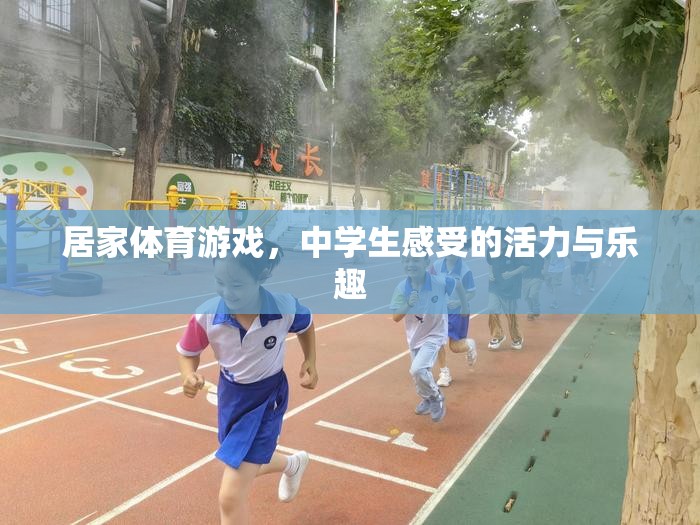 居家體育游戲，中學(xué)生感受的活力與樂趣