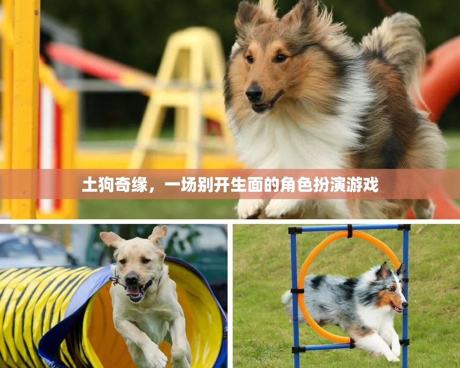 土狗奇緣，別開生面的角色扮演游戲