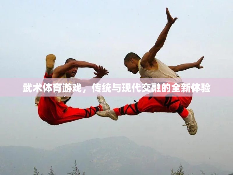 傳統(tǒng)與現(xiàn)代交融，武術(shù)體育游戲的全新體驗(yàn)