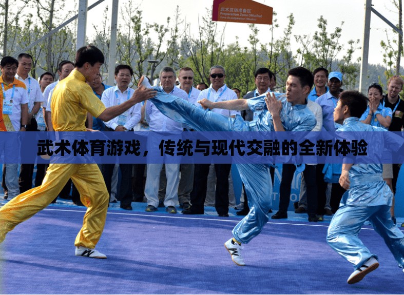 傳統(tǒng)與現(xiàn)代交融，武術(shù)體育游戲的全新體驗(yàn)
