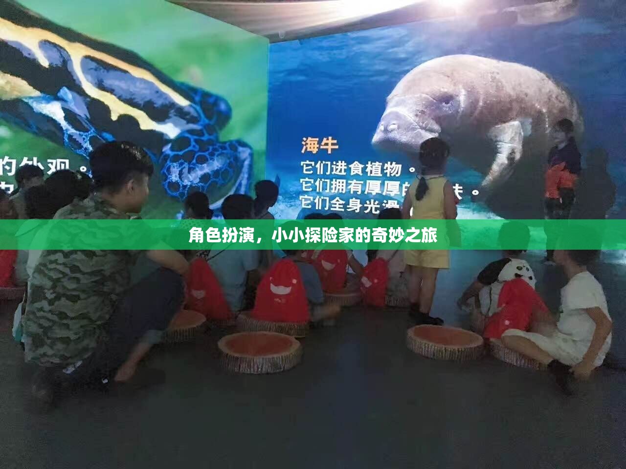 小小探險家，角色扮演的奇妙旅程
