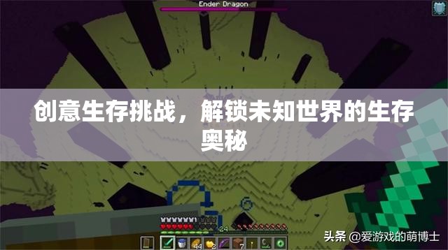 解鎖未知世界的生存奧秘，創(chuàng)意生存挑戰(zhàn)