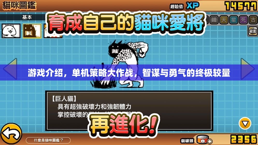 智勇雙全，單機(jī)策略大作戰(zhàn)的終極較量
