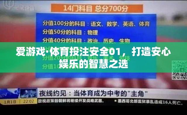 安全01，打造安心娛樂的智慧之選，愛游戲·體育投注的智慧之選