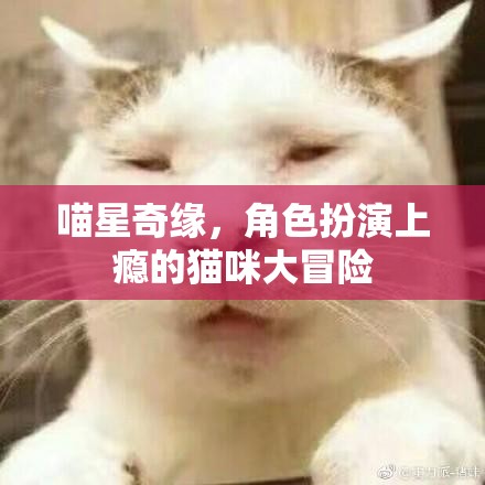 喵星奇緣，貓咪大冒險的沉浸式角色扮演之旅  第1張