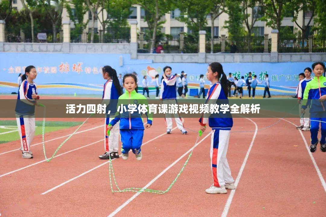 小學體育課游戲視頻教學，激發(fā)活力，全面解析