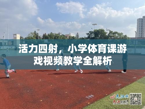 小學體育課游戲視頻教學，激發(fā)活力，全面解析