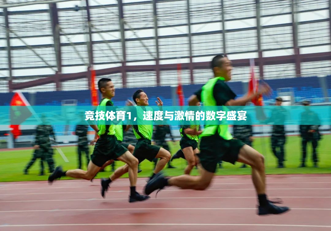 速度與激情的數(shù)字盛宴，競技體育的魅力