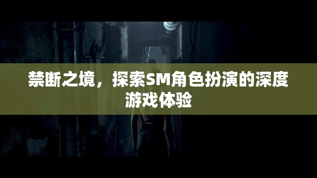 禁斷之境，解鎖SM角色扮演的深度游戲體驗(yàn)