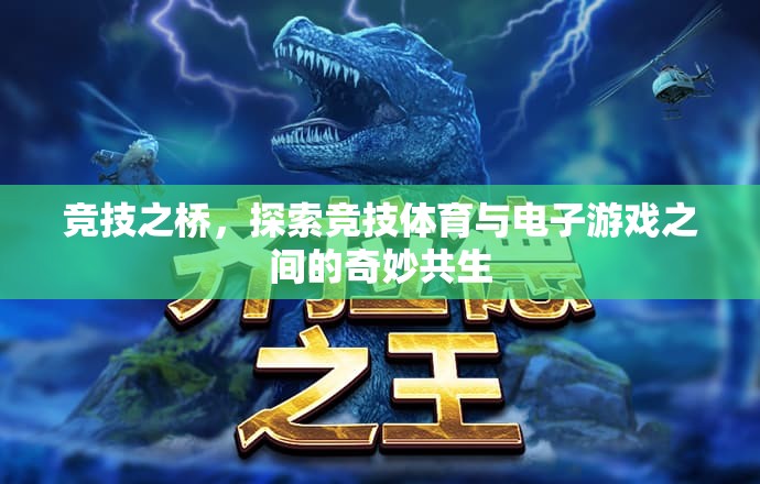 競技之橋，探索競技體育與電子游戲的奇妙共生  第3張