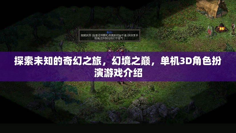 幻境之巔，探索未知的奇幻3D單機(jī)角色扮演游戲之旅