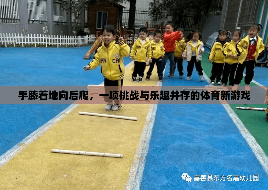 手膝后爬，挑戰(zhàn)與樂趣并存的體育新游戲  第2張