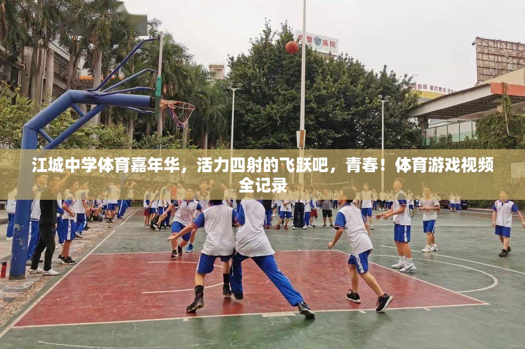 江城中學(xué)體育嘉年華，飛躍青春，活力四射的精彩瞬間全記錄