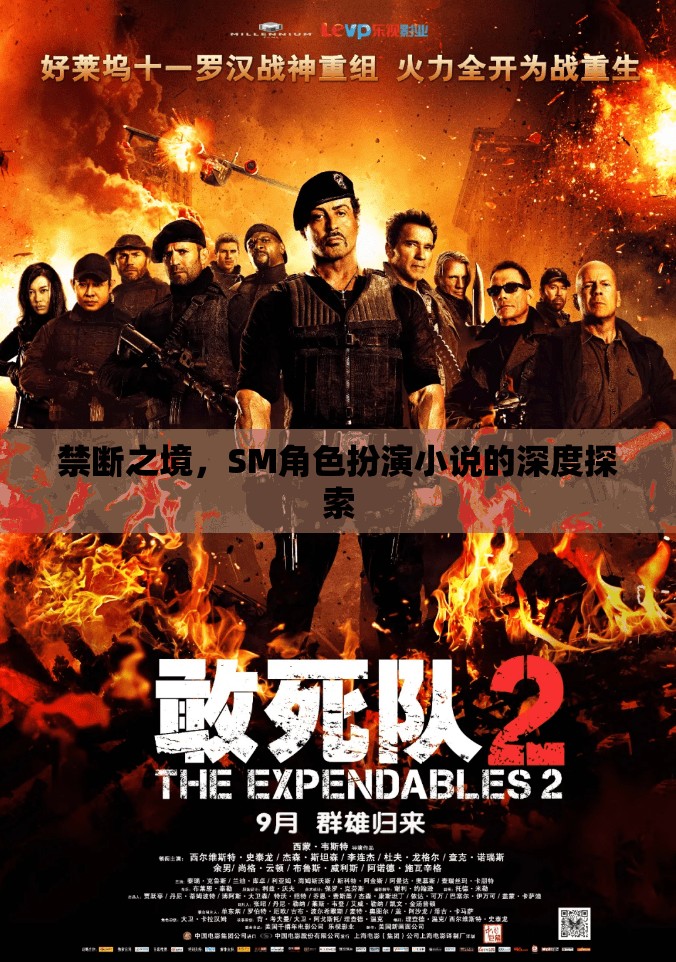 禁斷之境，深度探索SM角色扮演小說(shuō)的奧秘